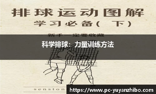 科学排球：力量训练方法